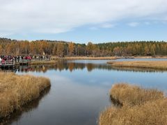 -塞罕坝国家级自然保护区