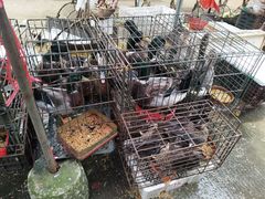 -永汉农贸市场
