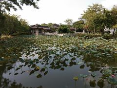 -惠州西湖丰渚园