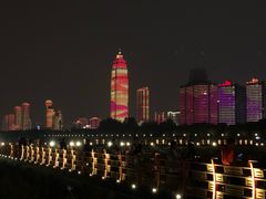 -武汉两江游览·夜游长江(汉口粤汉码头)