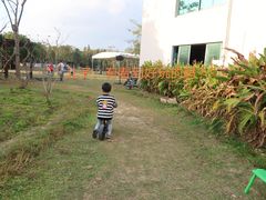 -上海海湾国家森林公园