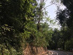 -大雁山风景区