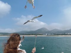 -海驴岛(荣成市)