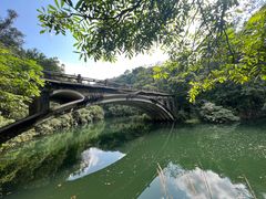 -鼎湖山风景区