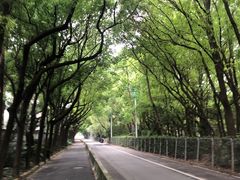 -七宝中学游泳馆