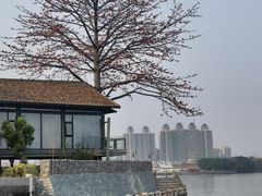 -喜洲吧·江畔老船厂·庭院餐厅(喜临院店)