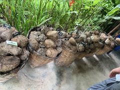 -大象粑粑造纸公园