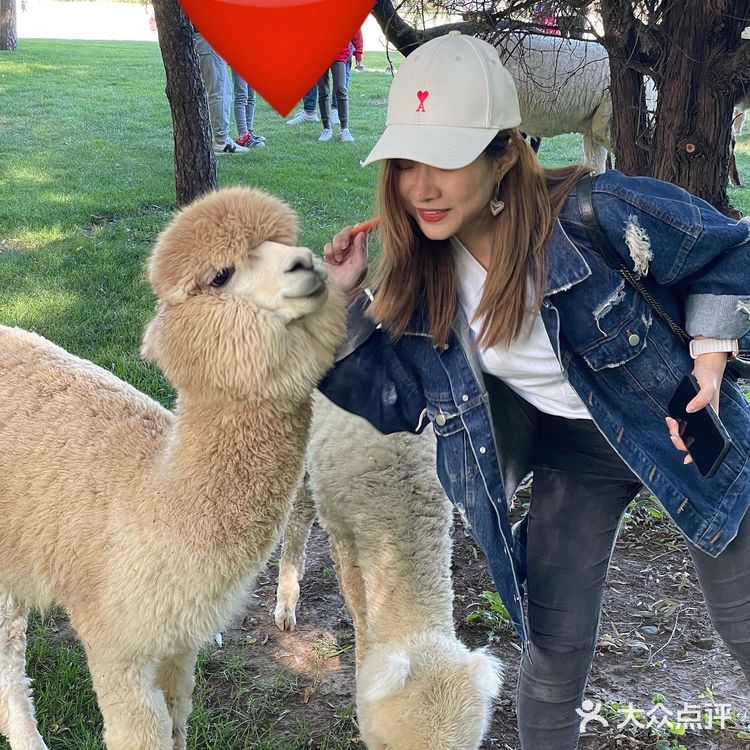 闹市中的仙境 零距离动物世界