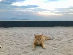 -网红落日悬崖餐厅 The Sky Gallery