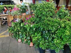 -旺顺阁海鲜广场(亚运村店)