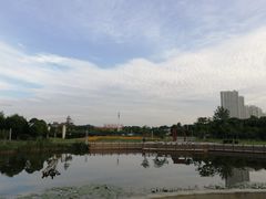 -瑶湖郊野森林公园