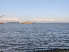 -大湾区中央湿地公园