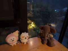 -WILDS 野有食(碧坞店)