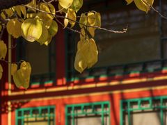 -北京颐和宾馆