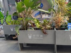 -茶百道(棠石路店)