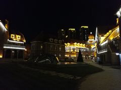 -天津津利华酒店