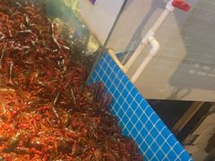 -星伦多自助料理(花山金鹰店)