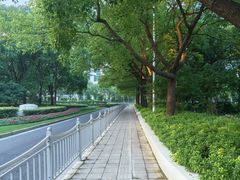 -上海中心大厦