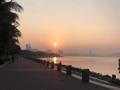 -福田红树林生态公园