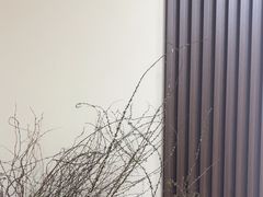 -素禅棋牌会所(海阳路店)