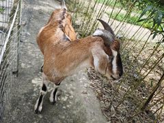 -亲子百果农庄
