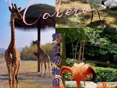 -上海野生动物园