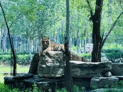 -秦皇岛野生动物园