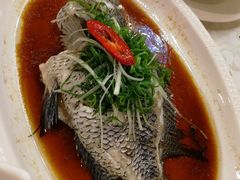 -御满江海鲜酒家(洛溪新城店)
