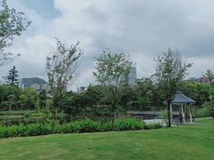 -四海公园(南山区)