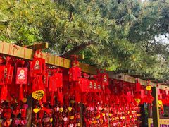 -石岛赤山风景区