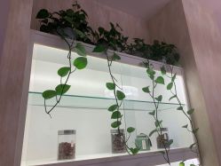 -诗媛嘉美健康管理中心(金桥店)