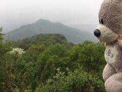 -紫金山山顶公园