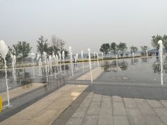 -武清南湖绿博园