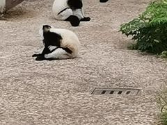 -上方山森林动物世界