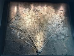 -贝林大翅鲸简餐厅(国家海洋博物馆店)