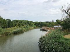 -上海长兴岛郊野公园