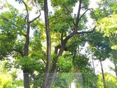 -J Create城市露营咖啡·简餐·宠物(上海动物园店)