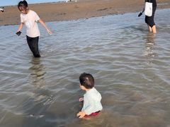 -刘家湾赶海园