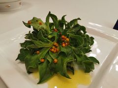 沙棘冰草-九十九顶毡房(阜石路店)