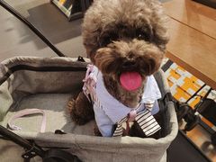 -王府井奥莱临潼小镇(临潼店)