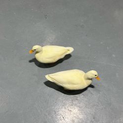 -Zoolung Zoolung动物主题公园(海信广场店)