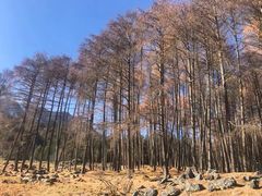 -硗碛藏寨·神木垒景区