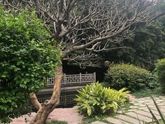 -晓港公园