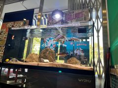 -華歡冰室-WahFoon(吉大店)