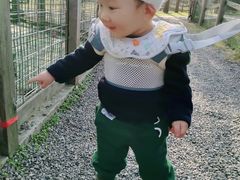 -前小桔亲子创意农场·草莓采摘·露营烧烤