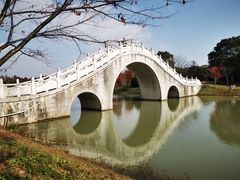 -上海海湾国家森林公园