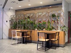 -Shake Shack(西单大悦城店)