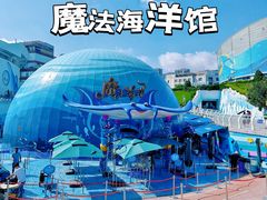 -海合安青岛极地海洋公园