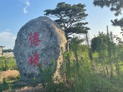 -威海大乳山景区
