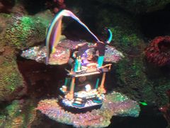 -沈阳海洋探索中心